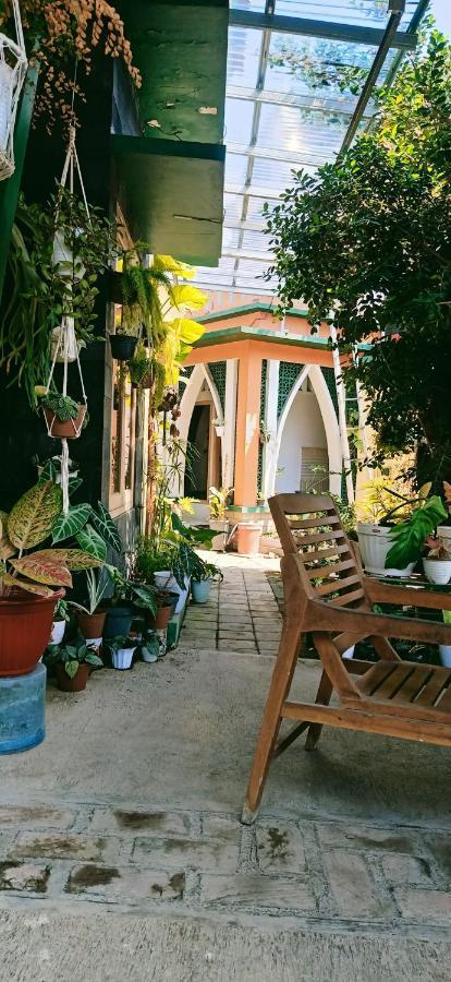 Latansa Homestay Banyuwangi  Buitenkant foto